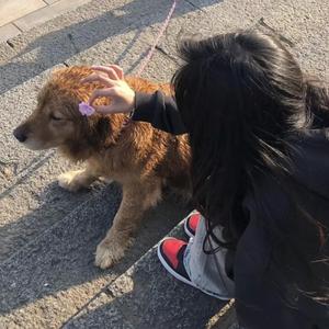 日本裸体在线视频
