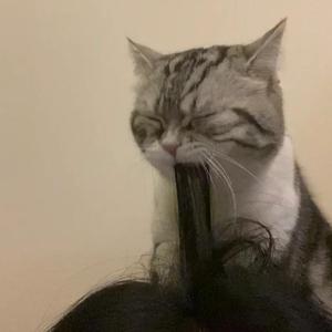 日本裸体在线视频
